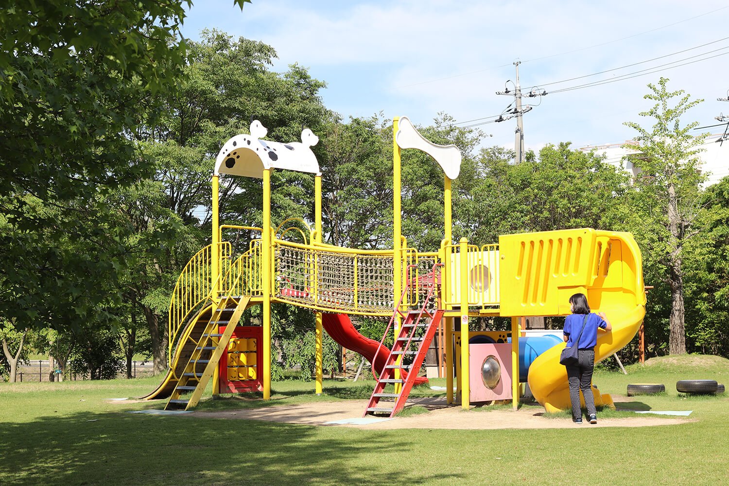 🌳 시마네 현립 하마야마 공원 (시마네켄리츠 하마야마 코엔)